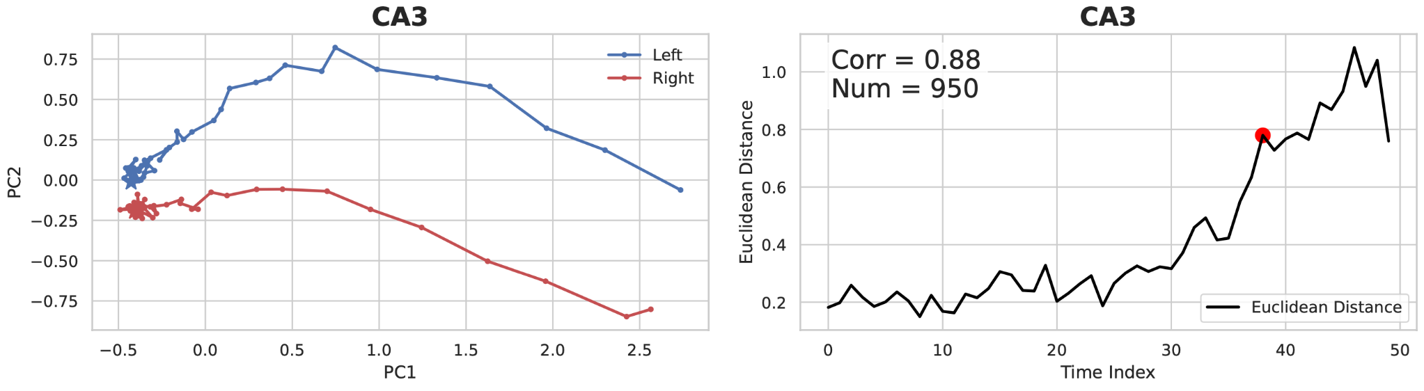 CA3 PCA and Euclidean Distance